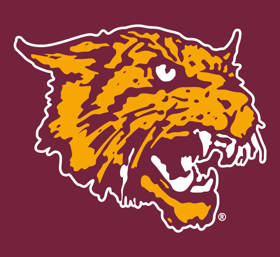 Bethune-Cookman Wildcats 2000-2015 Alternate Logo diy DTF decal sticker